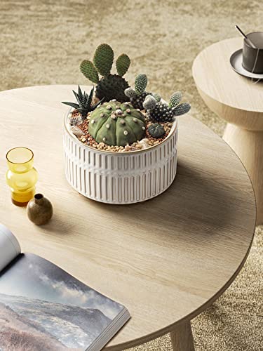 LE TAUCI Succulent Pots, 6.5+8 Inch Ceramic Indoor Plant Pot with Drainage Hole, Modern Round Decorative Flower Pot, Gifts for Mom, Set of 2, Reactive Glaze White