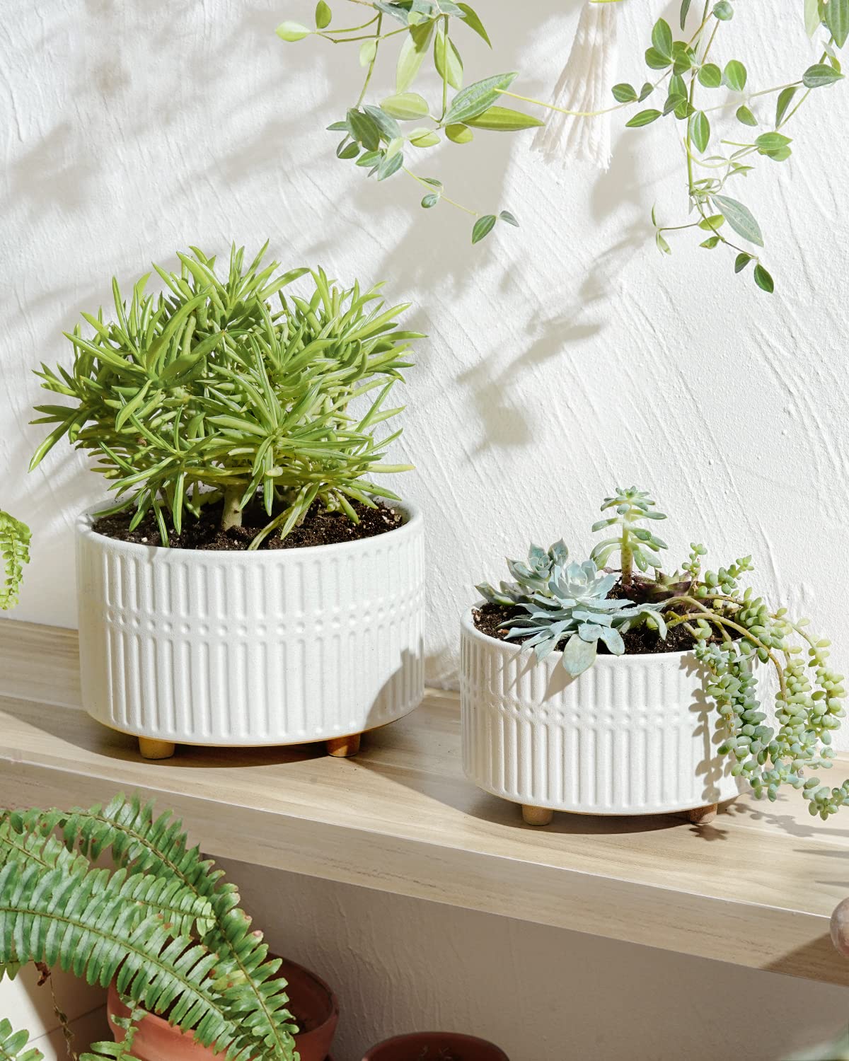 LE TAUCI Succulent Pots, 6.5+8 Inch Ceramic Indoor Plant Pot with Drainage Hole, Modern Round Decorative Flower Pot, Gifts for Mom, Set of 2, Matte White