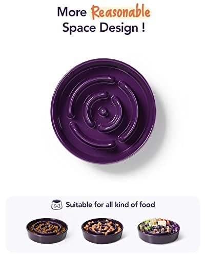 LE TAUCI Ceramic Slow Feeder Dog Bowls Elevated, 3 Cups Raised Dog Bowl with Wooden Stand for Medium Large Breed, Dog Dishes to Slow Down Eating, Puzzle Dog Food Bowl, Maze Purple