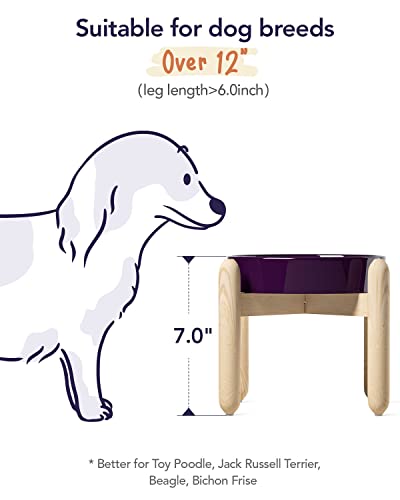 LE TAUCI Ceramic Slow Feeder Dog Bowls Elevated for Small and Medium Breed, Dog Bowls with Wooden Stand, 1.5 Cups Dog Dishes to Slow Down Eating, Anti-Gulping Pet Feeding Dishes, Maze Purple