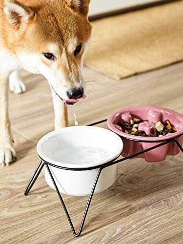LE TAUCI PET Dog Water Bowl Ceramic, Chew-Resistant Slow Feeder Dog Bowl, 2.6 Cups Dog Food Bowls for Small Medium Large Size, Fit for Dog Bowl Stand with Hole Opening Between 5.75" - 6.25"