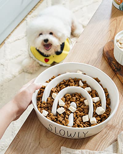 LE TAUCI PET Dog Slow Feeder Bowl Ceramic, Puzzle Dog Food Bowl for Small Medium Breed, Puppy Slow Feeder Bowl for Fast Eater, Dog Bowls to Slow Down Eating, Maze Bowl, Pet Bowl