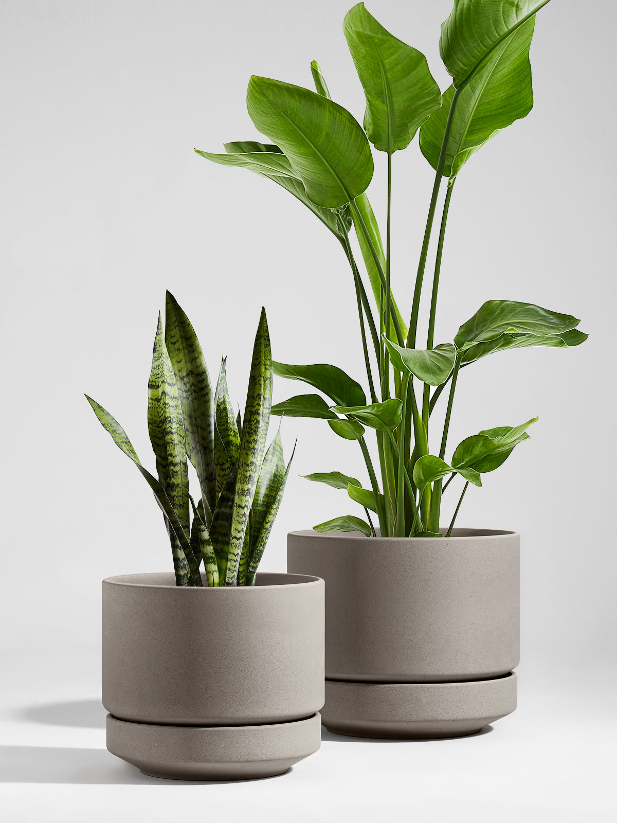 LE TAUCI Large 14 Inch Plant Pot with Saucer | Ceramic Outdoor & Indoor Big Planter Pot | Drainage Hole, Mesh Pad & Plug | Unglazed Porous | Modern Minimalist for Home and Patio – Neutral Gray