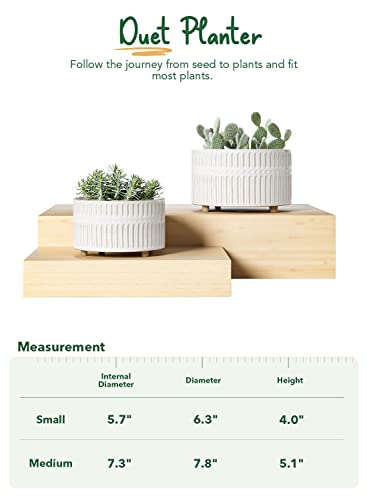 LE TAUCI Succulent Pots, 6.5+8 Inch Ceramic Indoor Plant Pot with Drainage Hole, Modern Round Decorative Flower Pot, Gifts for Mom, Set of 2, Reactive Glaze White