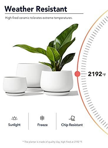 LE TAUCI Ceramic Plant Pots, 4.1+5.1+6.5 inch, Set of 3, Planters with Drainage Hole and Saucer, Indoor Flower Pot with Hole Mesh Pad, Gifts for Mom, White