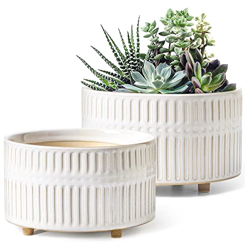 LE TAUCI Succulent Pots, 6.5+8 Inch Ceramic Indoor Plant Pot with Drainage Hole, Modern Round Decorative Flower Pot, Gifts for Mom, Set of 2, Reactive Glaze White