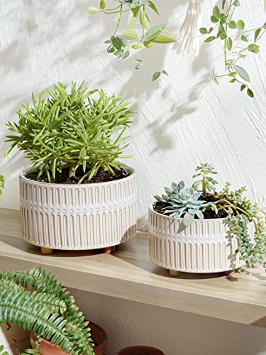 LE TAUCI Succulent Pots, 6.5+8 Inch Ceramic Indoor Plant Pot with Drainage Hole, Modern Round Decorative Flower Pot, Gifts for Mom, Set of 2, Reactive Glaze White