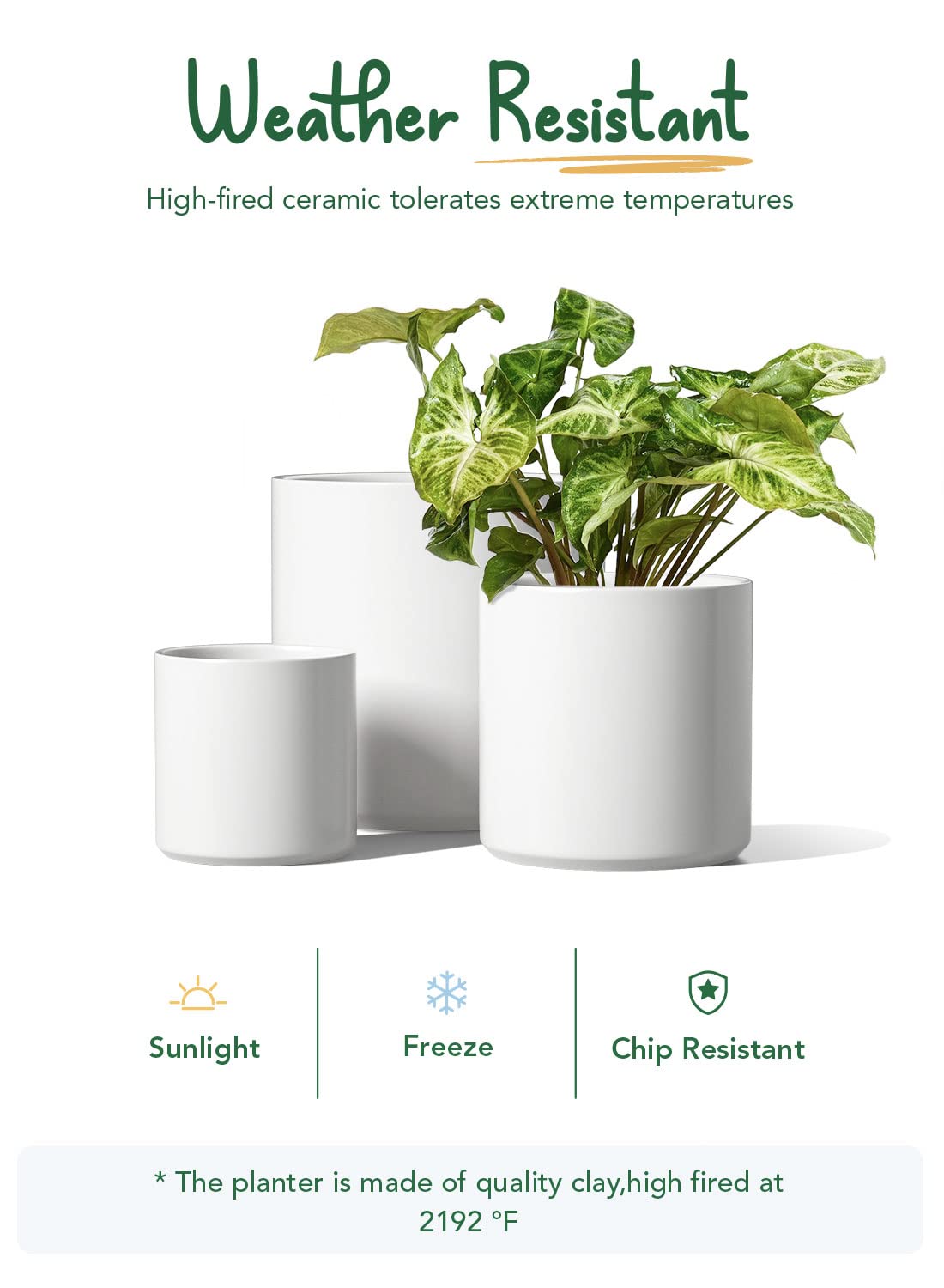 LE TAUCI Ceramic Plant Pots Indoor, 10 Inch 8 Inch 6 Inch Planters for ...