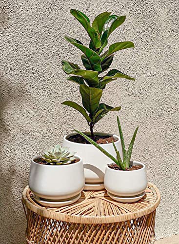 LE TAUCI Ceramic Plant Pots, 4.1+5.1+6.5 inch, Set of 3, Planters with Drainage Hole and Saucer, Indoor Flower Pot with Hole Mesh Pad, Gifts for Mom, White