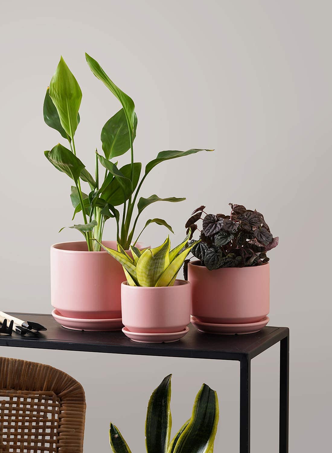 LE TAUCI Ceramic Plant Pots, 4.3+5.3+6.8 inch, Set of 3, Planters with Drainage Hole and Saucer, Indoor Flower Pot with Hole Mesh Pad, Gifts for Mom, Pink