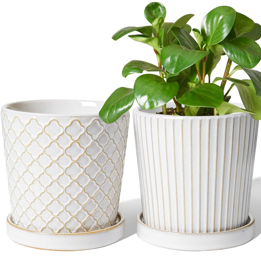 LE TAUCI Ceramic Plant Pots, 5.4 Inch Pots for Indoor Plants, Planters with Drainage Hole and Saucer, Flower Pots for Succulent, Snake Plants and Cactus, Set of 2, Reactive Glaze White