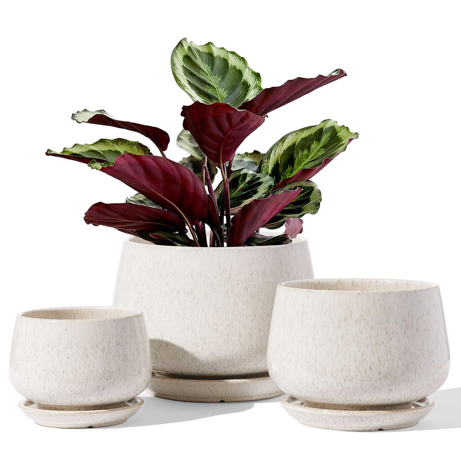 LE TAUCI Plant Pots, 4.1+5.1+6.5 inch, Set of 3, Ceramic Planters with ...