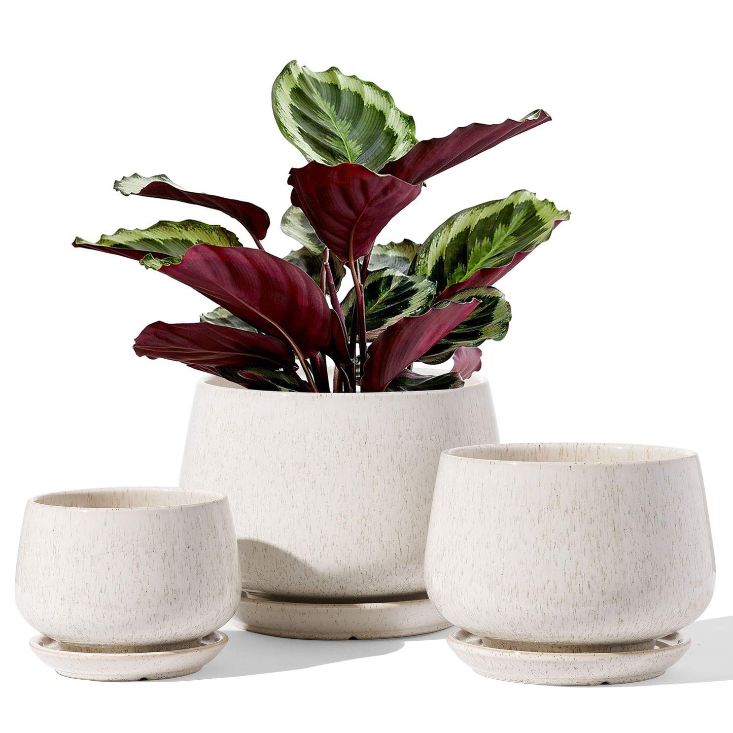 LE TAUCI Plant Pots, 4.1+5.1+6.5 inch, Set of 3, Ceramic Planters with Drainage Hole and Saucer, Indoor Flower Pot with Hole Mesh Pad, Gifts for Mom, Reactive Glaze Beige