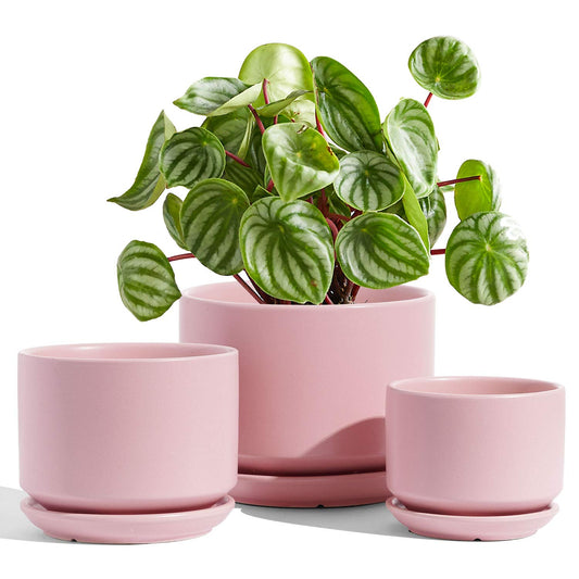 LE TAUCI Ceramic Plant Pots, 4.3+5.3+6.8 inch, Set of 3, Planters with Drainage Hole and Saucer, Indoor Flower Pot with Hole Mesh Pad, Gifts for Mom, Pink