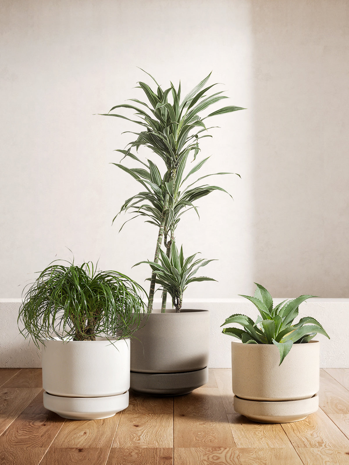 LE TAUCI Large 14 Inch Plant Pot with Saucer | Ceramic Outdoor & Indoor Big Planter Pot | Drainage Hole, Mesh Pad & Plug | Unglazed Porous | Modern Minimalist for Home and Patio – Chalk White