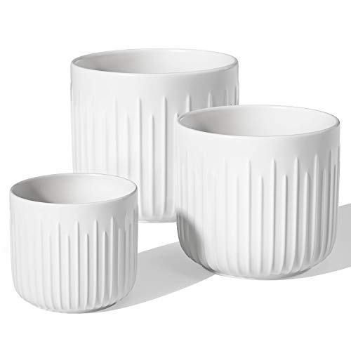 LE TAUCI Plant Pots, Large Planter Ceramic, 8.3+6.9+5.7 inch Flower Pot for Plants with Drainage Holes, Flower Pot, Garden Planters Outdoor, Indoor House Plants, Cylinder Planter, Set of 3, White