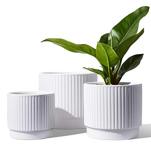 LE TAUCI Ceramic Plant Pots with Drainage Holes, Set of 3, 8+6.5+5.5 Inch Stripe Garden Planter Pots for Outdoor Indoor Plants Flower, Round Succulent Orchid Flower Pot, Small to Large Size, White