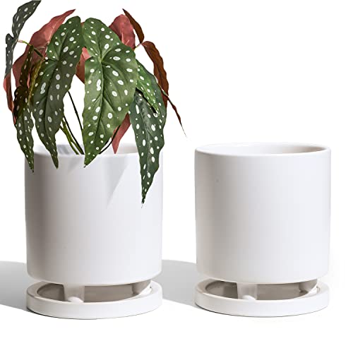 LE TAUCI Ceramic Plant Pots with Drainage Holes & Saucers, 4.5 inch Planters for Indoor Plants with Tray, Decorative House Flower Pot, Set of 2, White