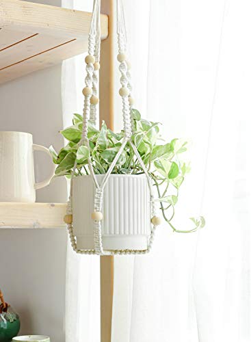 thumbnail image 2 of LE TAUCI Ceramic Plant Pots Set Of 3 – 4, 5, 6.5 Inch With Drainage & Saucer, White, For Indoor Plants & Succulents 2 of 9