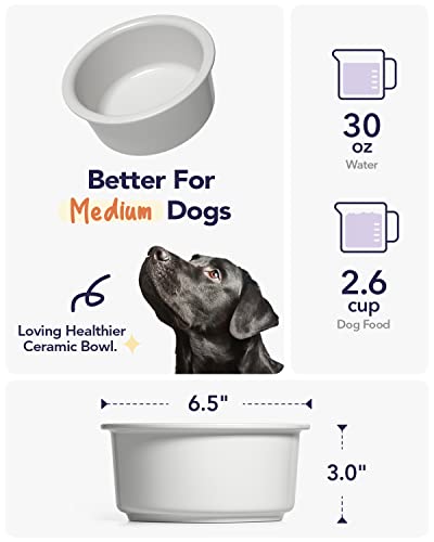 Small dog best sale water bowl