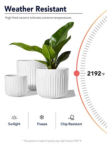 LE TAUCI Plant Pots, Large Planter Ceramic, 8.3+6.9+5.7 inch Flower Pot for Plants with Drainage Holes, Flower Pot, Garden Planters Outdoor, Indoor House Plants, Cylinder Planter, Set of 3, White