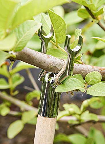 LE TAUCI Tree Support, Branch Crutch for Propping Up Heavily Fruited Tree Branches, Save & Prevent Them from Breaking, Fits for Vineyards, Ornamental Gardens, Orchards - Metal Sliver, Set of 1