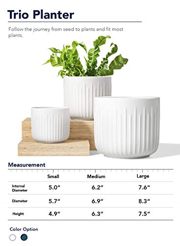 LE TAUCI Plant Pots, Large Planter Ceramic, 8.3+6.9+5.7 inch Flower Pot for Plants with Drainage Holes, Flower Pot, Garden Planters Outdoor, Indoor House Plants, Cylinder Planter, Set of 3, White