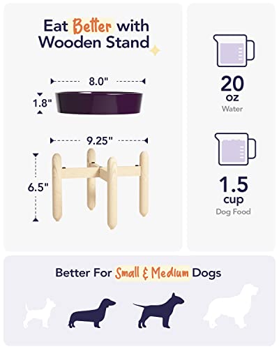 LE TAUCI 8 Inch Slow Feeder Ceramic Dog Bowl for Medium Breed, Maze,  Purple, 1.5 Cups