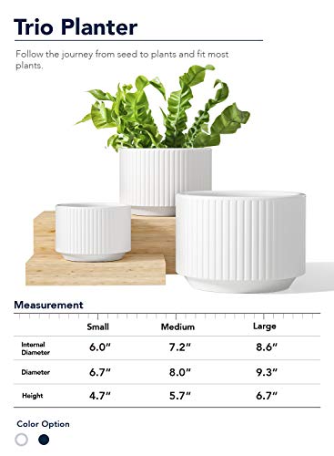 LE TAUCI Plant Pots, Large Planter Ceramic, 9.3+8+6.7 inch Pots for Plants with Drainage Holes, Garden Planters Outdoor, Indoor House Plants, Cylinder Modern Planter for Home, Set of 3, White