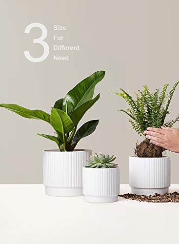 LE TAUCI Ceramic Plant Pots with Drainage Holes, Set of 3, 8+6.5+5.5 Inch Stripe Garden Planter Pots for Outdoor Indoor Plants Flower, Round Succulent Orchid Flower Pot, Small to Large Size, White