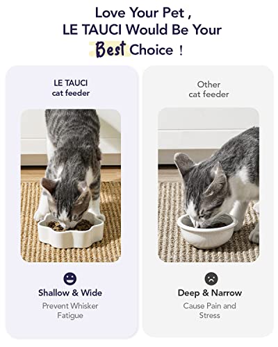 Ceramic water bowl for cats best sale