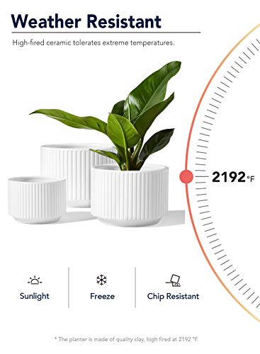 LE TAUCI Plant Pots, Large Planter Ceramic, 9.3+8+6.7 inch Pots for Plants with Drainage Holes, Garden Planters Outdoor, Indoor House Plants, Cylinder Modern Planter for Home, Set of 3, White