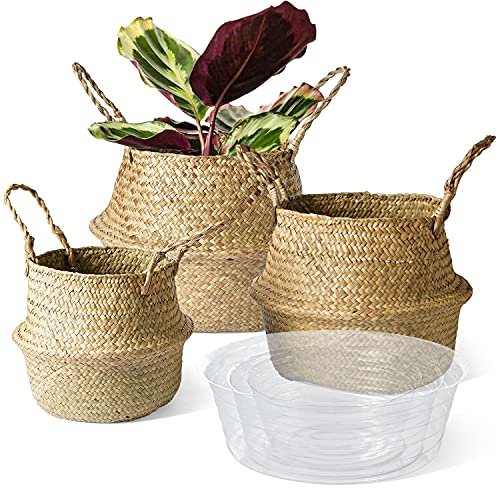 LE TAUCI Plant Baskets Set of 3, Woven Seagrass Basket, 7+7.8+10.2 inch, Indoor Home Storage Laundry Basket for Decor Planter Pot ( S+M+L, Original)