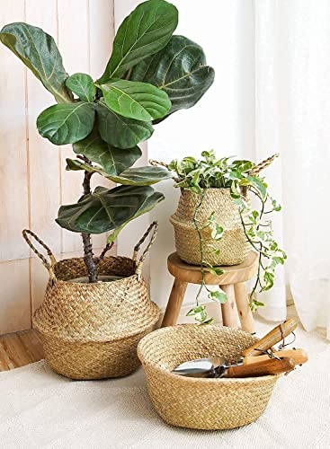 LE TAUCI Plant Basket with Plastic Tray, Woven Seagrass Belly Baskets, Home Boho Decor, Storage Laundry Picnic Grocery Straw Bag for Artificial Tree（Small, 7 inch, Original）