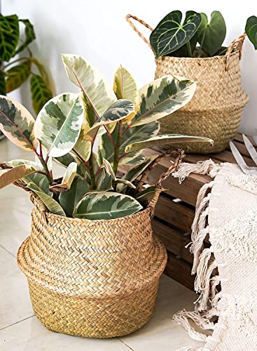 LE TAUCI Plant Basket with Plastic Tray, Woven Seagrass Belly Baskets, Home Boho Decor, Storage Laundry Picnic Grocery Straw Bag for Artificial Tree（Small, 7 inch, Original）