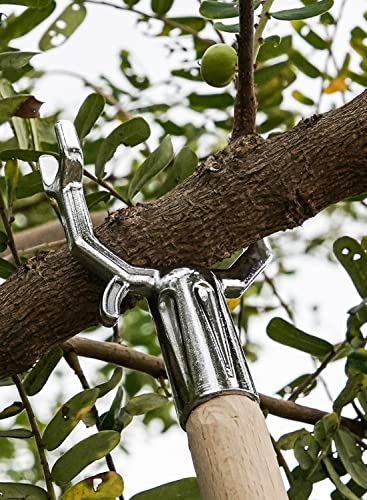 LE TAUCI Tree Support, Branch Crutch for Propping Up Heavily Fruited Tree Branches, Save & Prevent Them from Breaking, Fits for Vineyards, Ornamental Gardens, Orchards - Metal Sliver, Set of 1