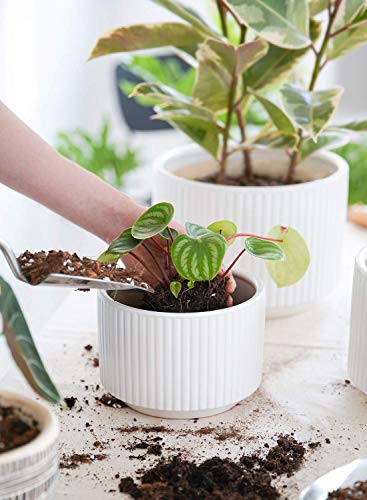 LE TAUCI Plant Pots, Large Planter Ceramic, 9.3+8+6.7 inch Pots for Plants with Drainage Holes, Garden Planters Outdoor, Indoor House Plants, Cylinder Modern Planter for Home, Set of 3, White